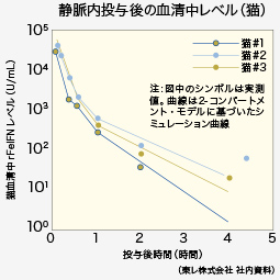 静脈内投与後の血清中レベル（猫）